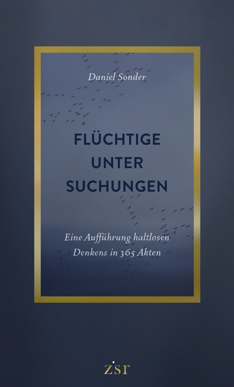 Flüchtige Untersuchungen Cover