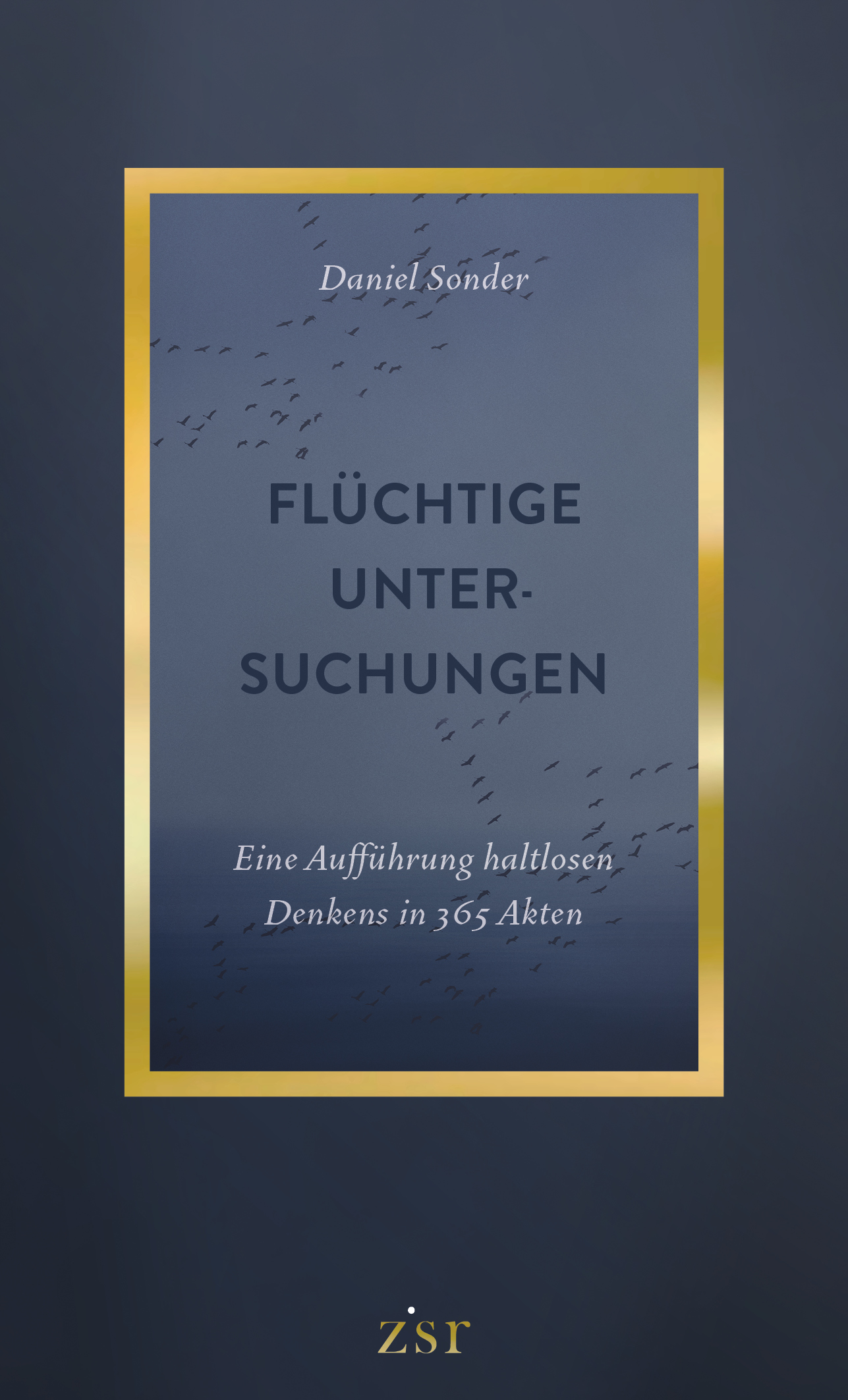 Flüchtige Untersuchungen Cover
